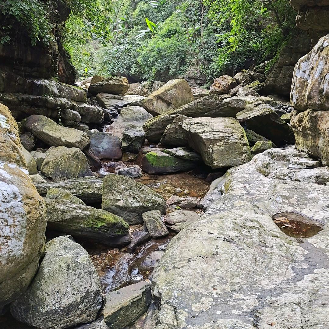 圣浩汽车维修技师徐师傅