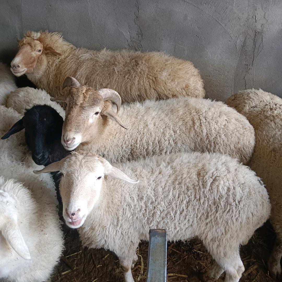 知足常乐⊙▽⊙