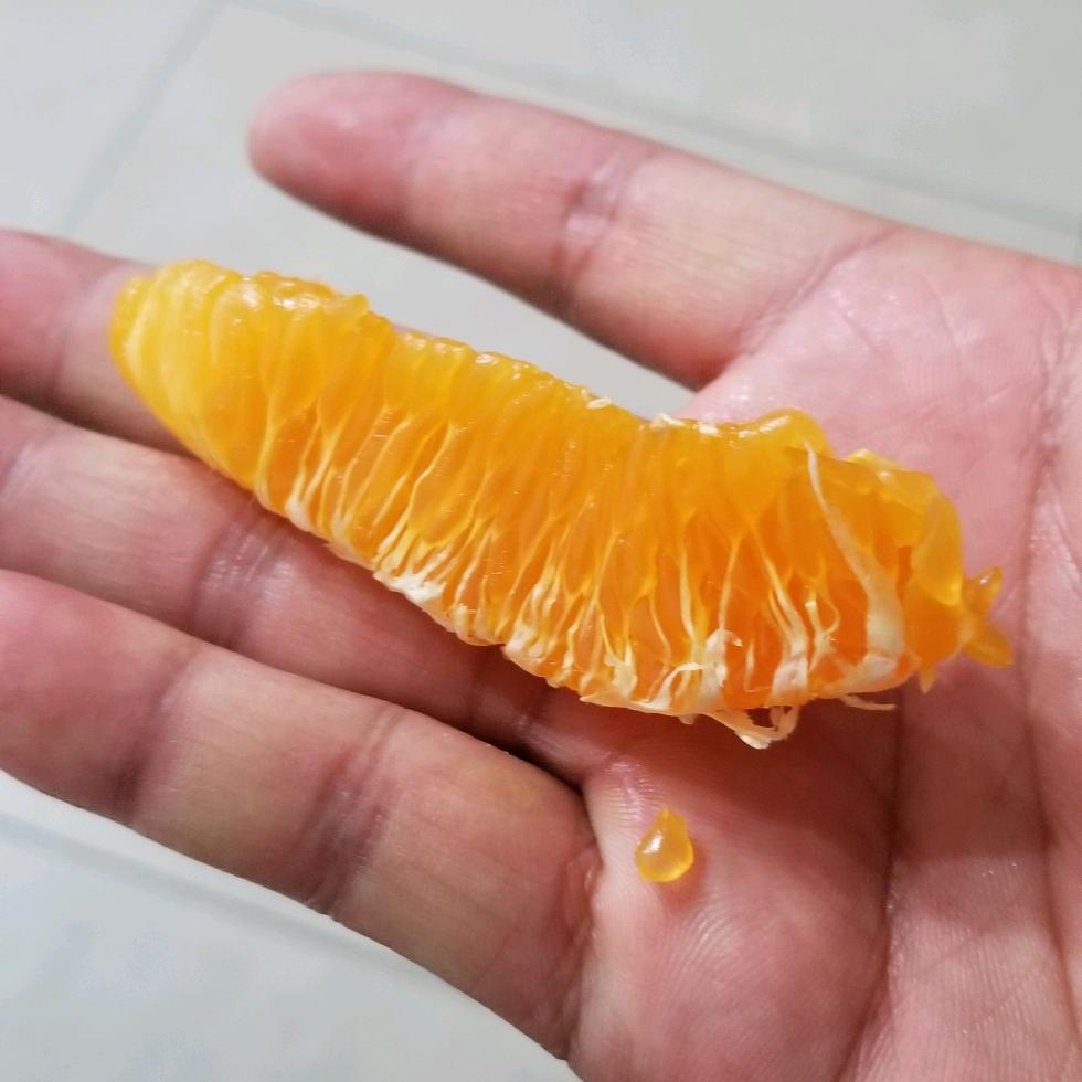 橘大李