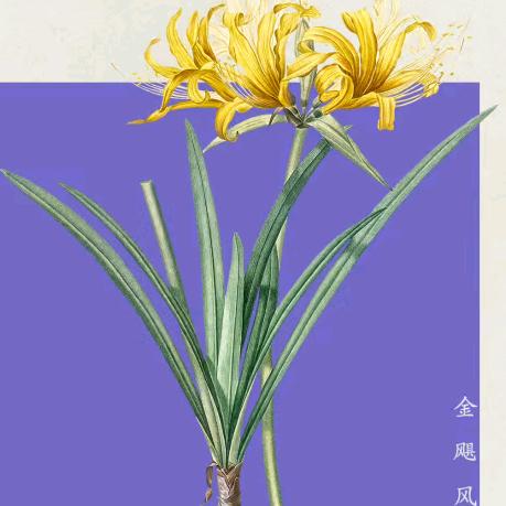 受不起