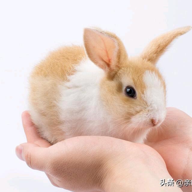 阳光(❁´◡图.. 5-3/xxzzb欠