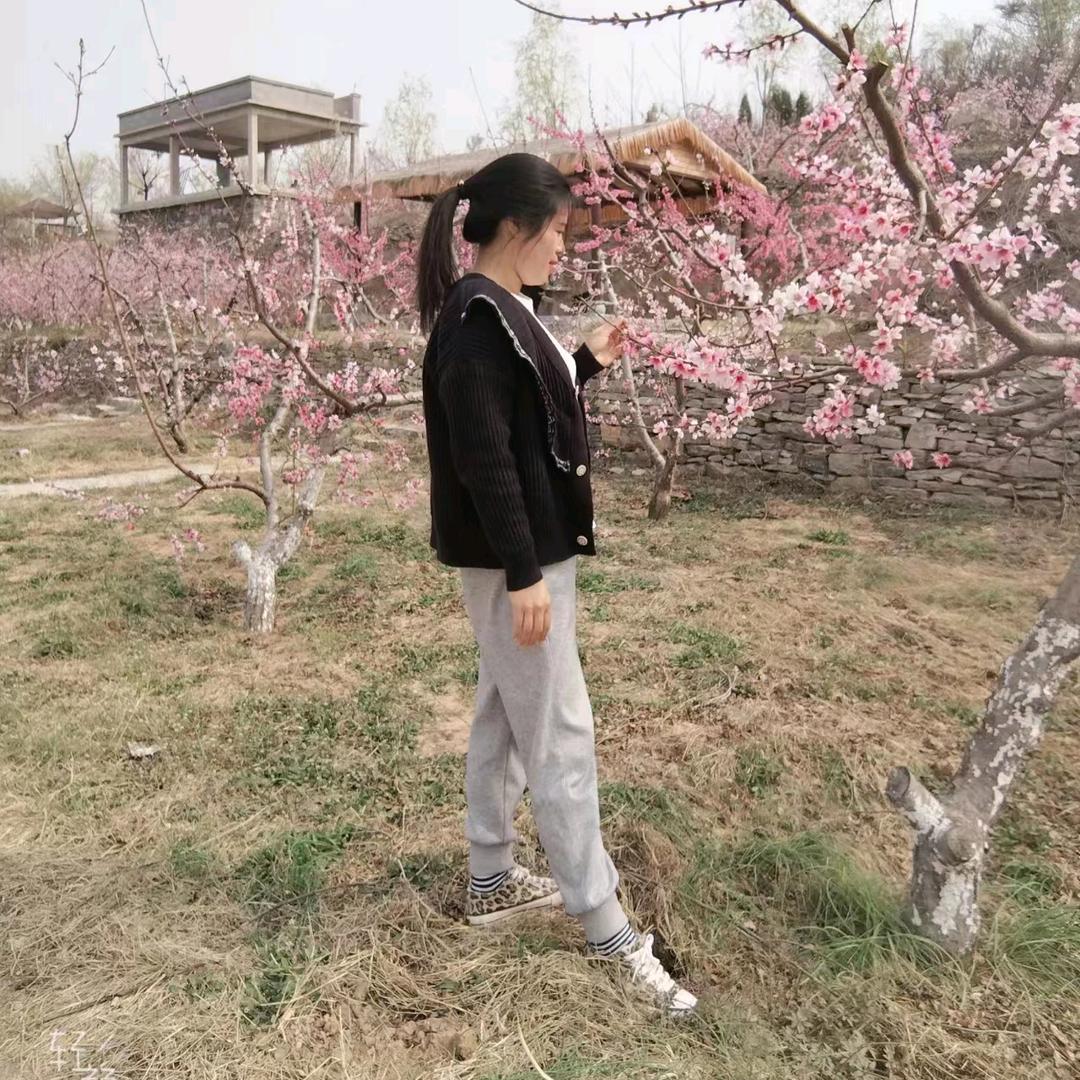 汤姐