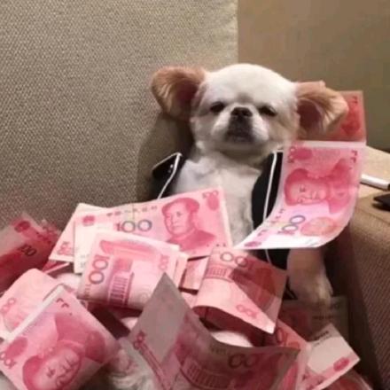 肆源专升本小闫老师