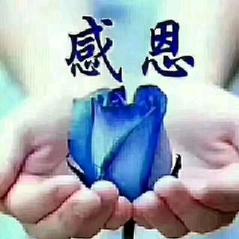 天天好心情