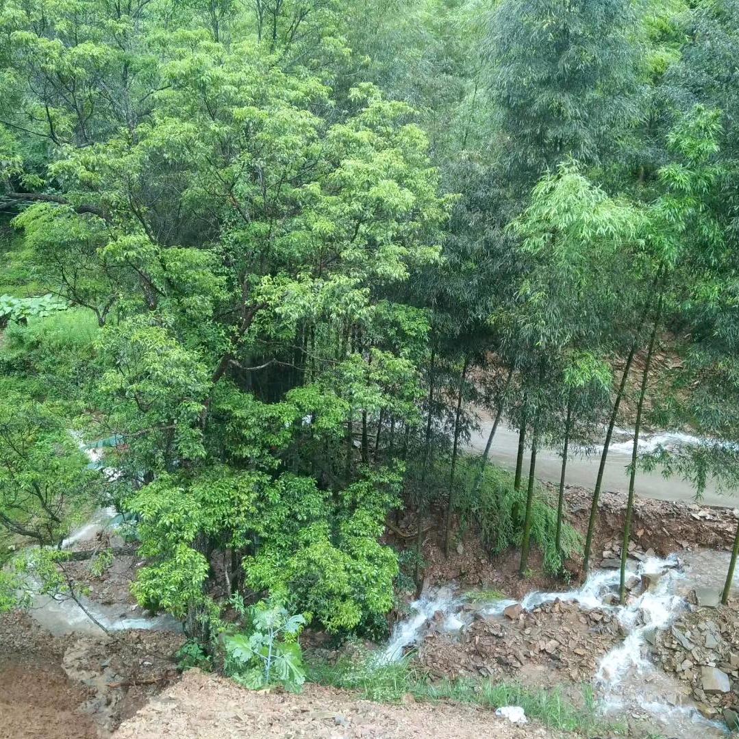 壹心壹意