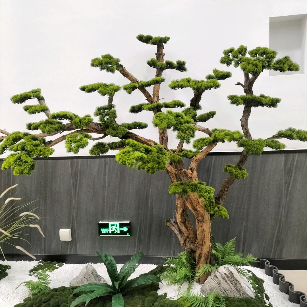 小护士