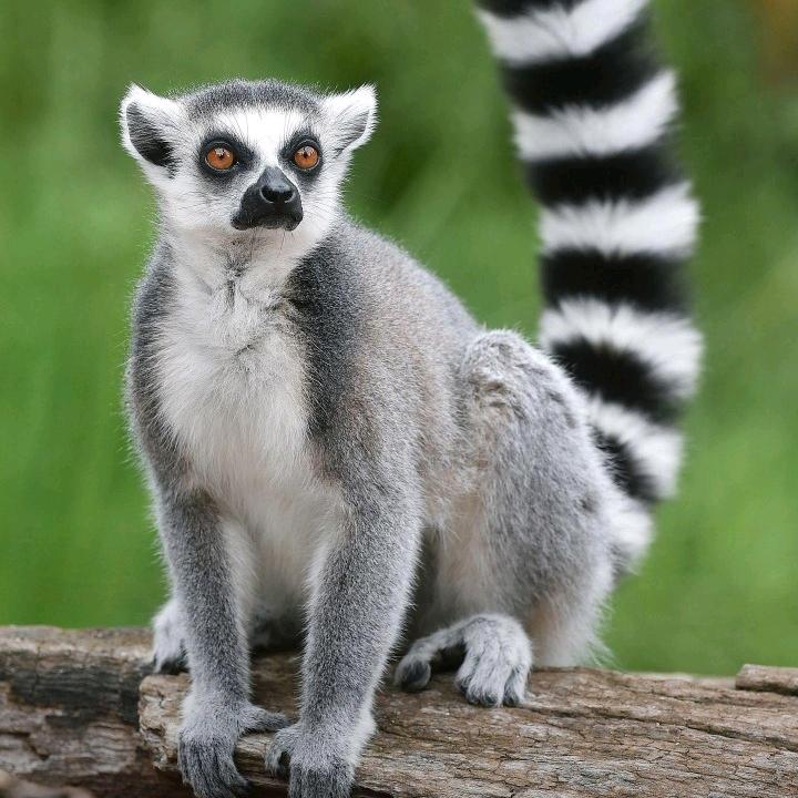 浮生（每天关注有上限，过后必回）