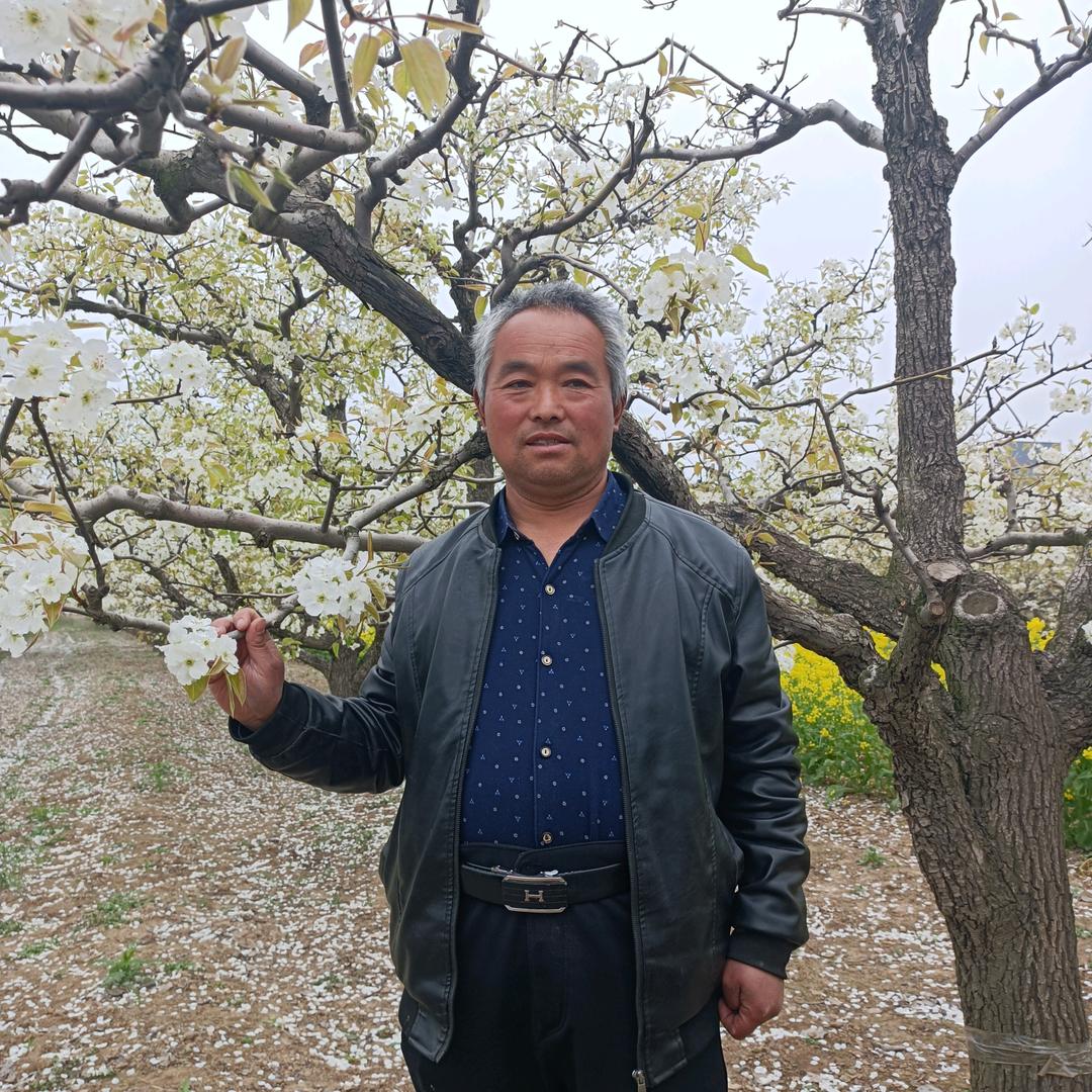 老夏干鲜