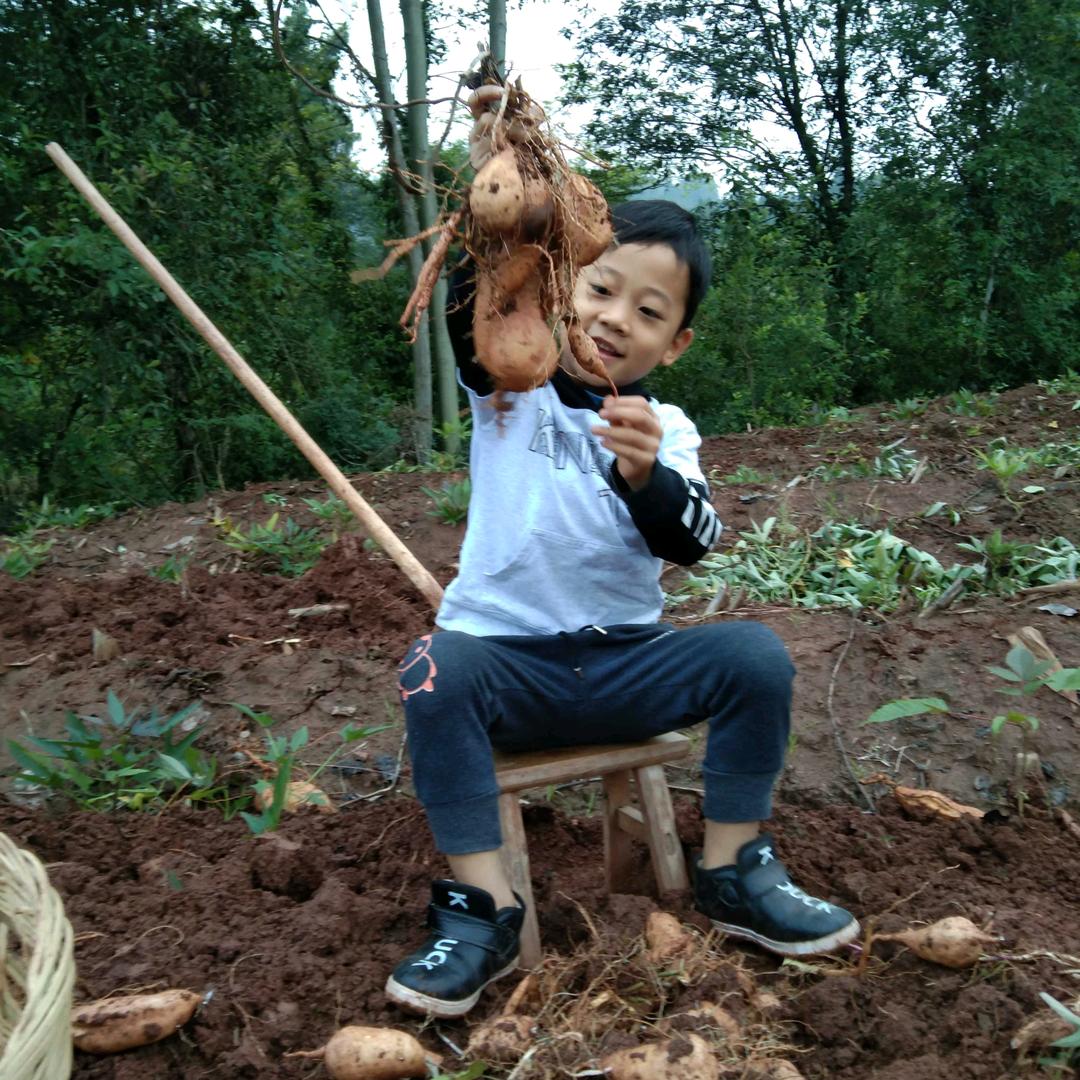 如梦