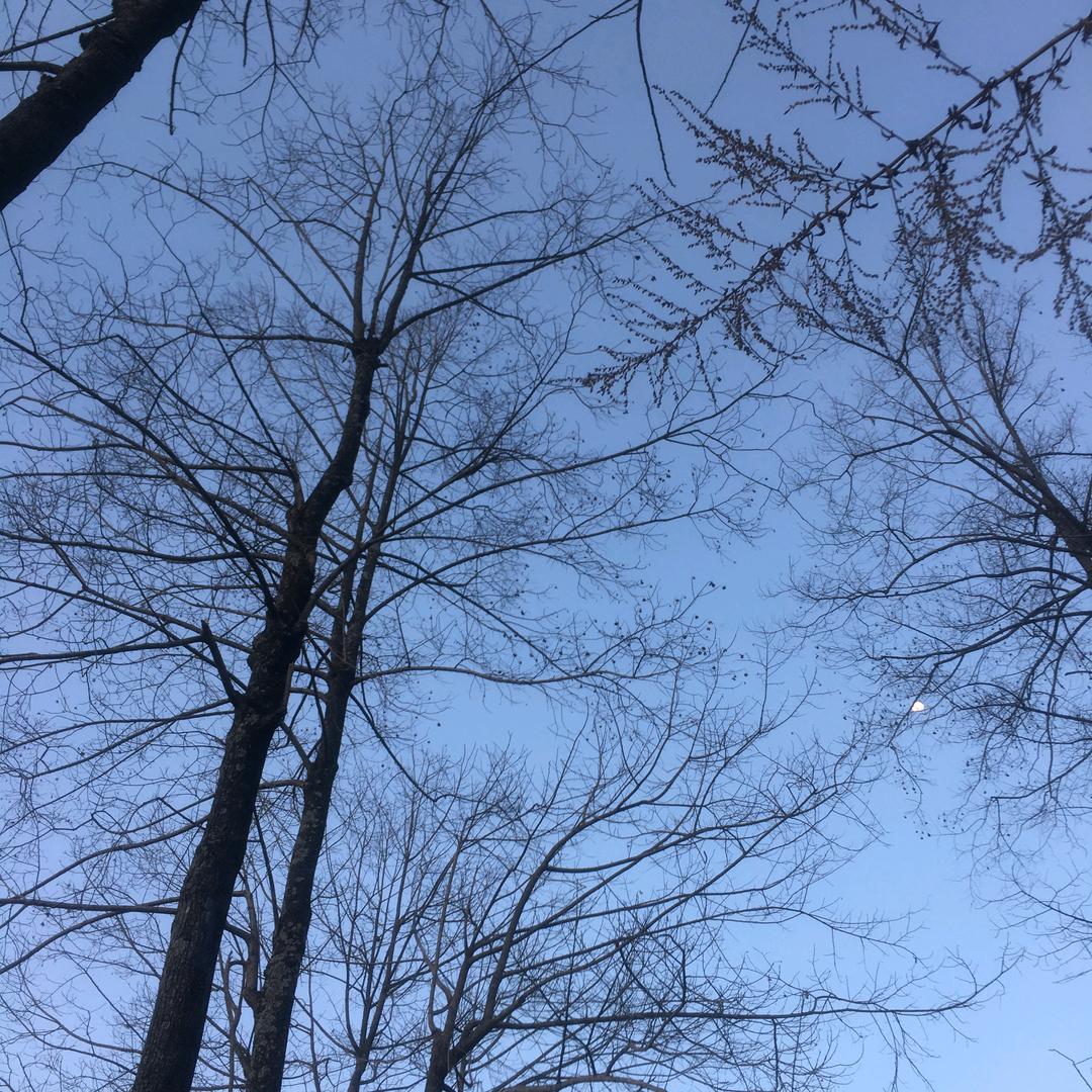 🌹爱我的❤我爱的🌹