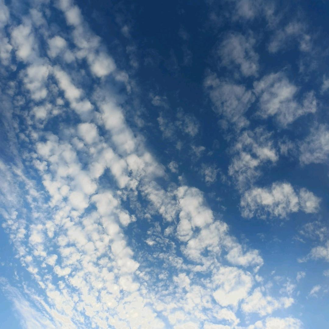休闲小游戏