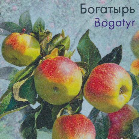 Appleapfel
