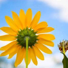 🌈🌈在变老的路上🌈🌈