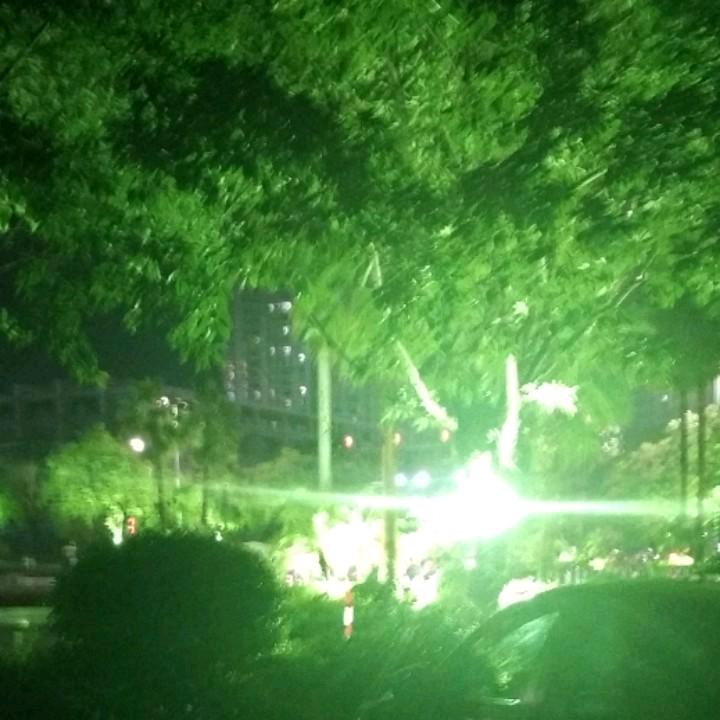 冰点🦠