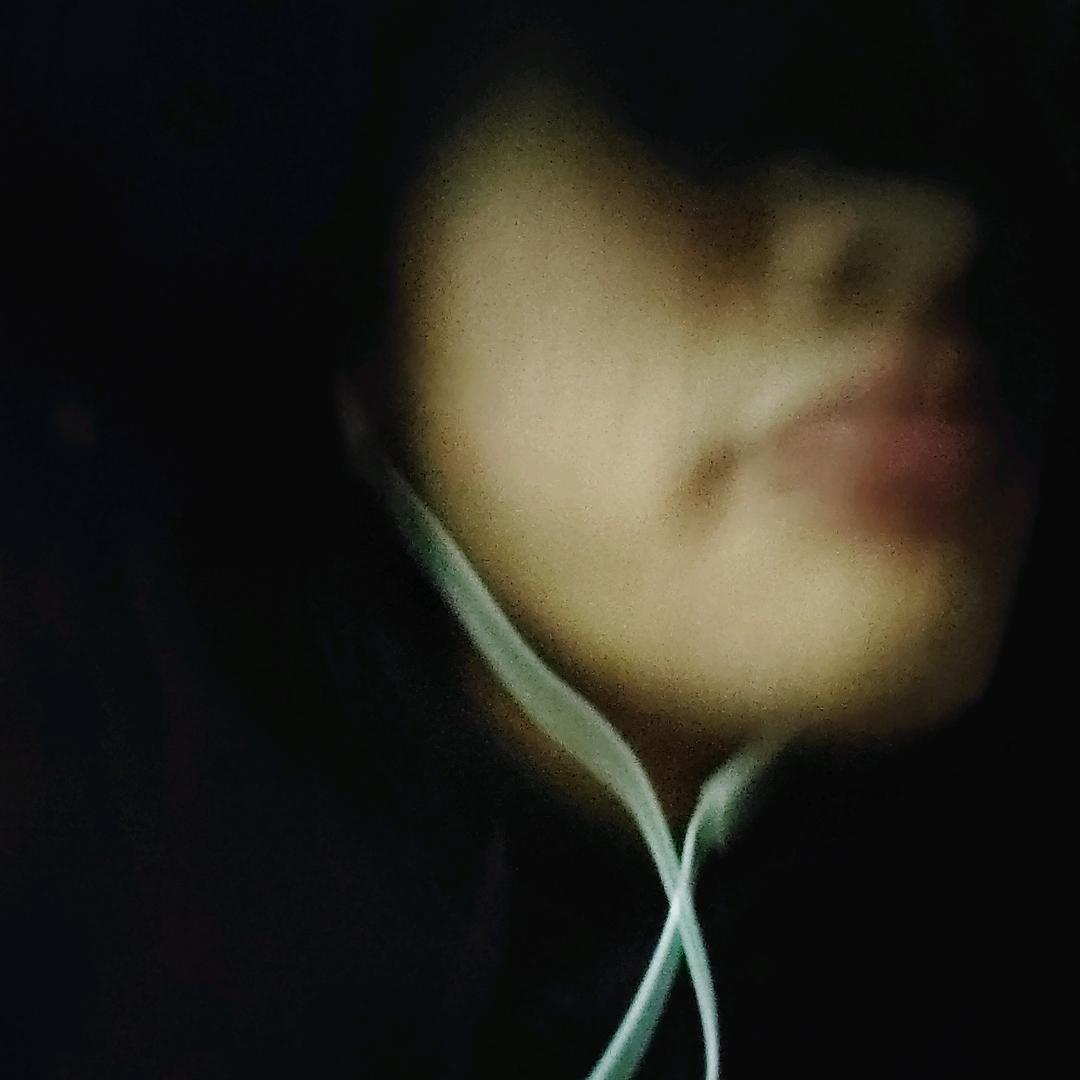 楼顶上的小斑鸠