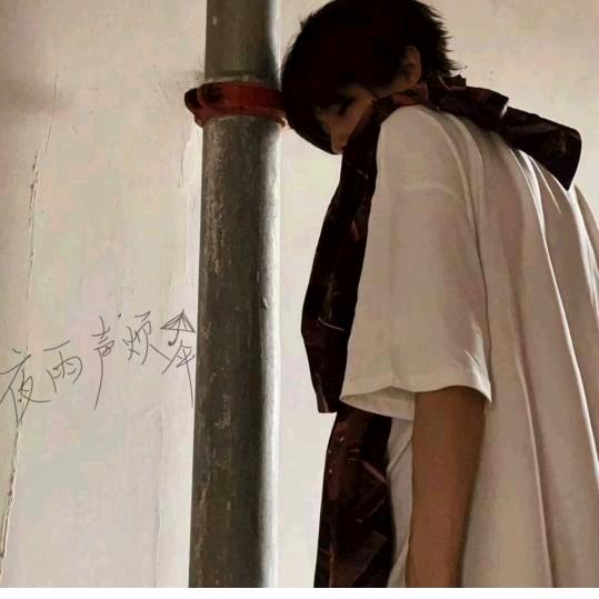 泽晨一直在
