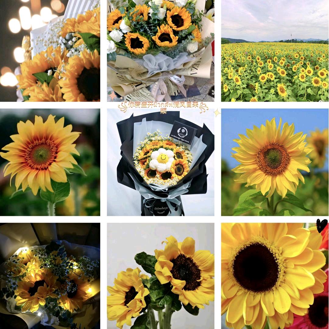 ꧁你若盛开มิวกลัฟ清风自来꧂