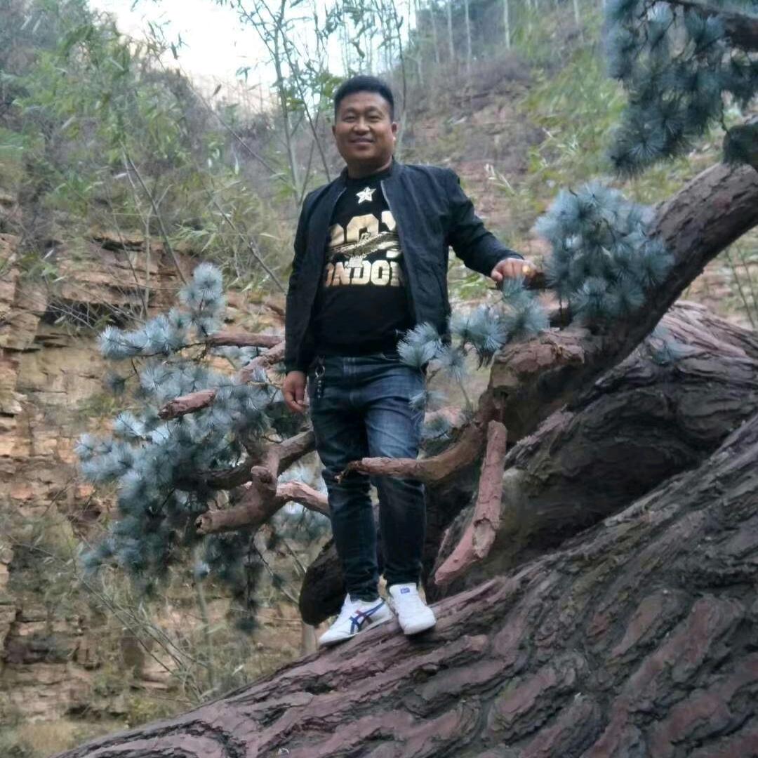 邯郸五哥