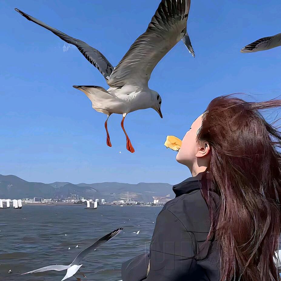 屿子酱.