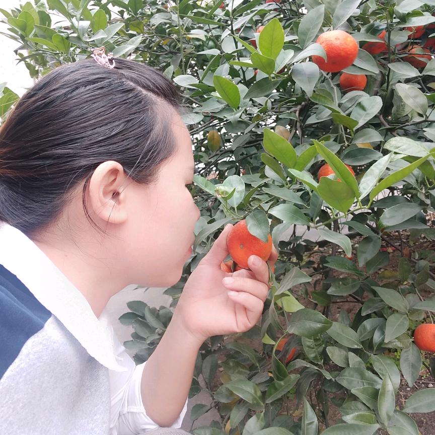 💞ℳღ᭄刘家菇凉ꦿ꯭꧔💞