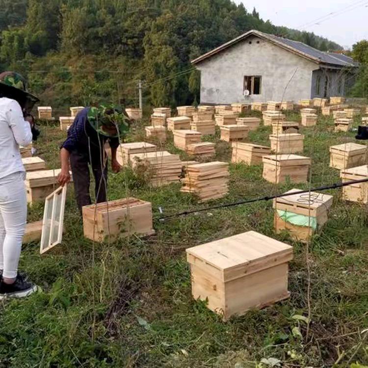 蜂友会