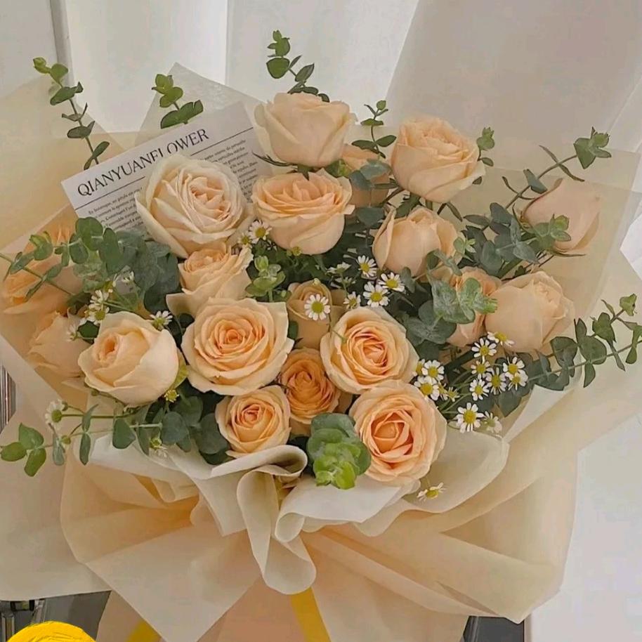 被财神爷偏爱的小宝贝💰💰