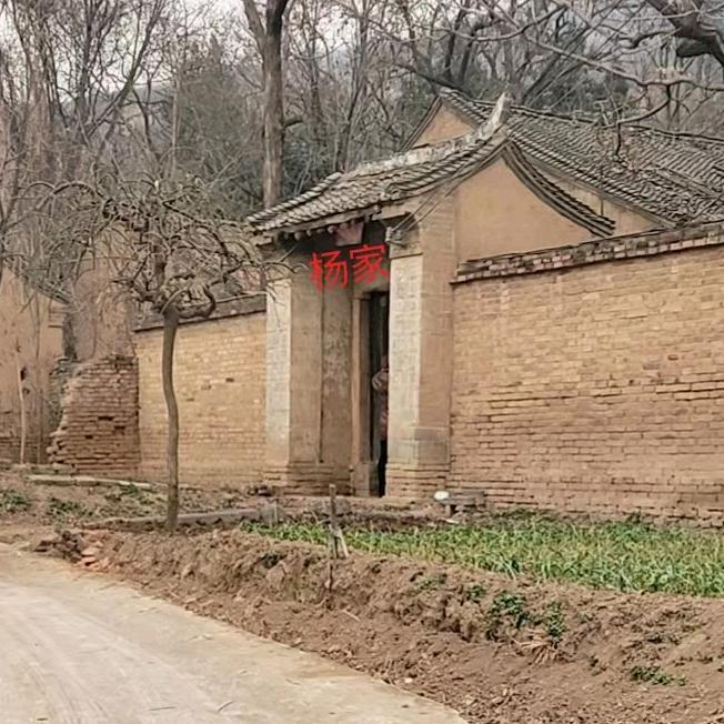 遗梦王乐