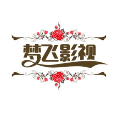 梦飞影视