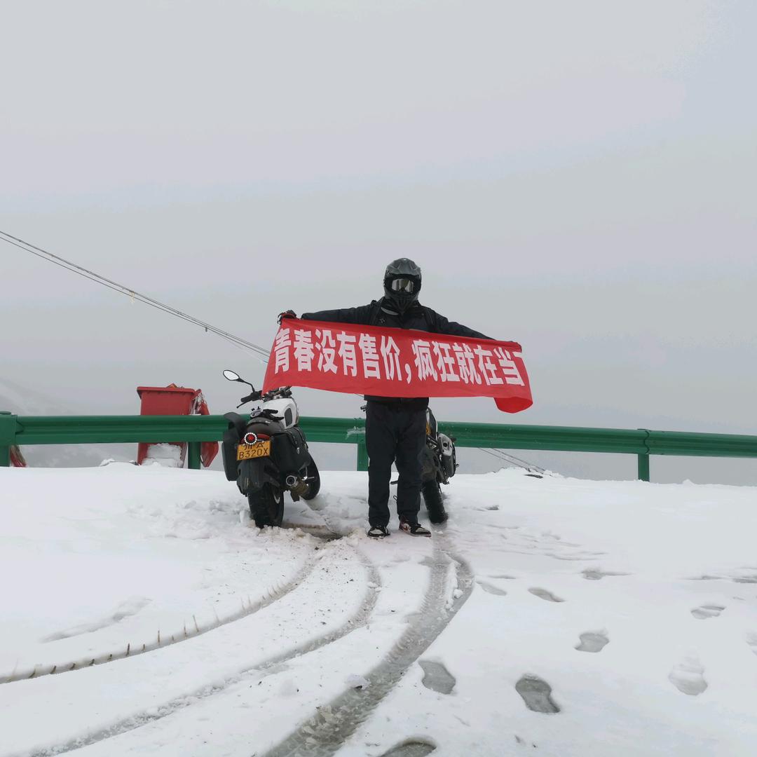 凉拌香猪腿
