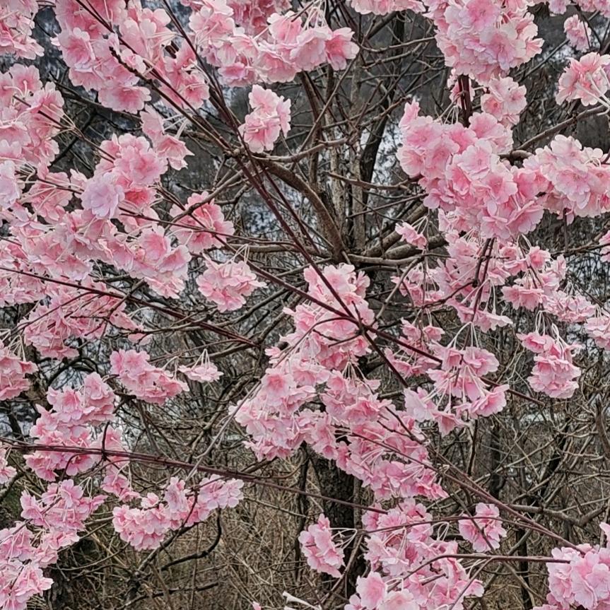 缘分