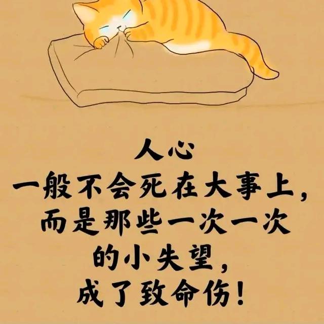 绝望冰封