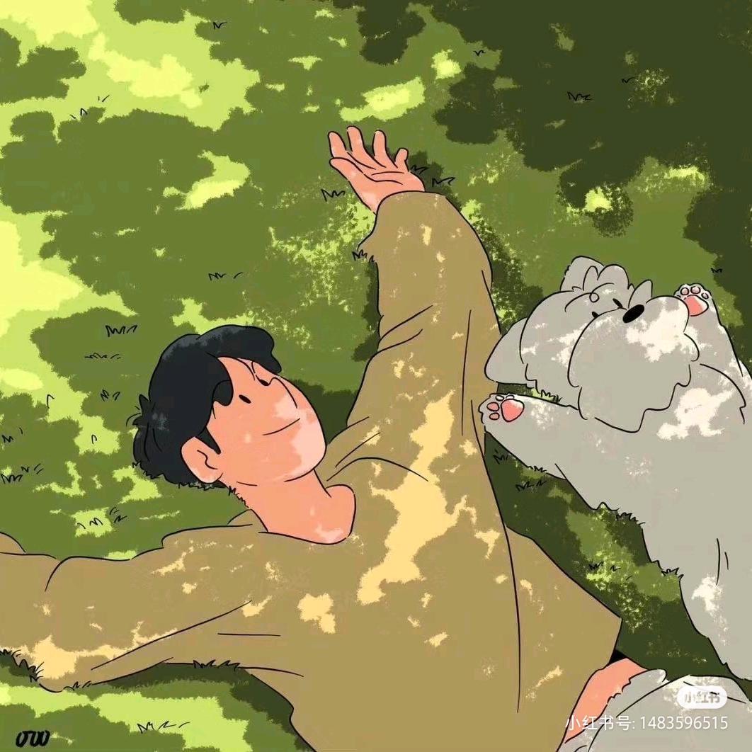 柏霁松