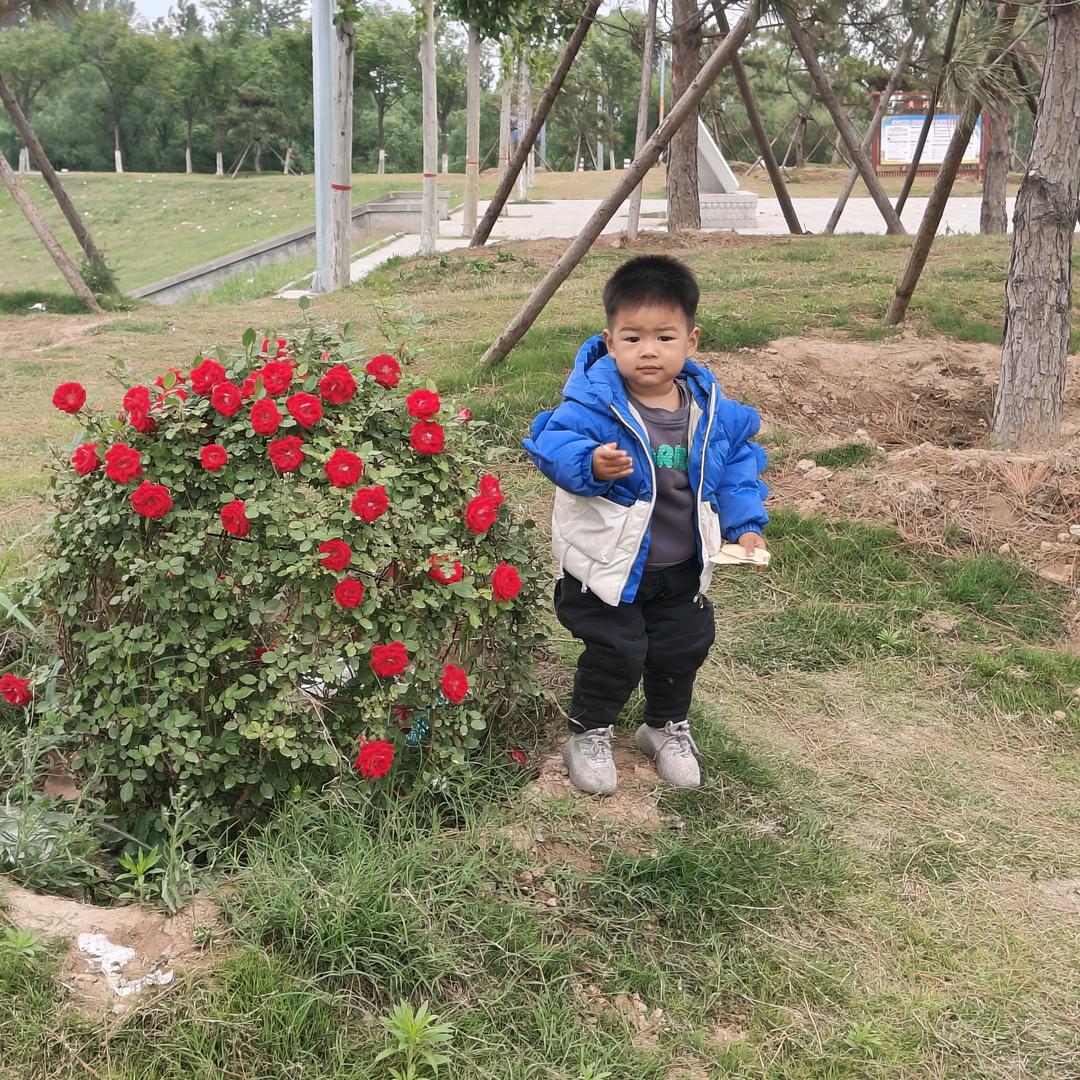 艺彩飞扬