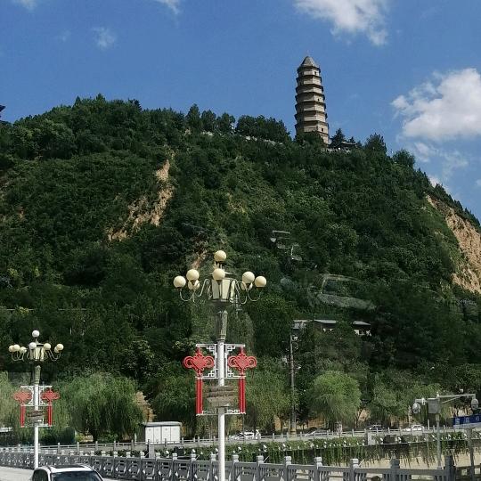 林军红