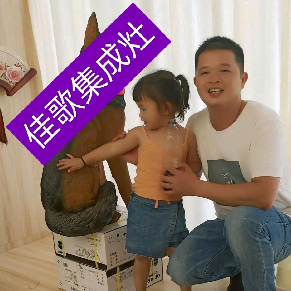 宜春市佳歌集成灶