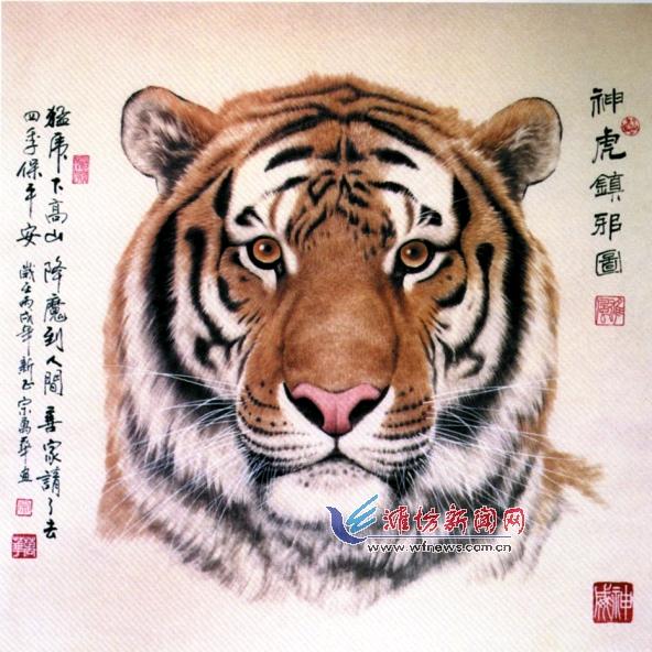 老张家的帅小伙