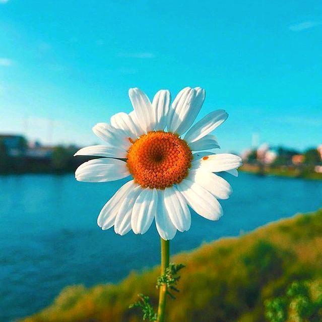 海纳滤清器工厂