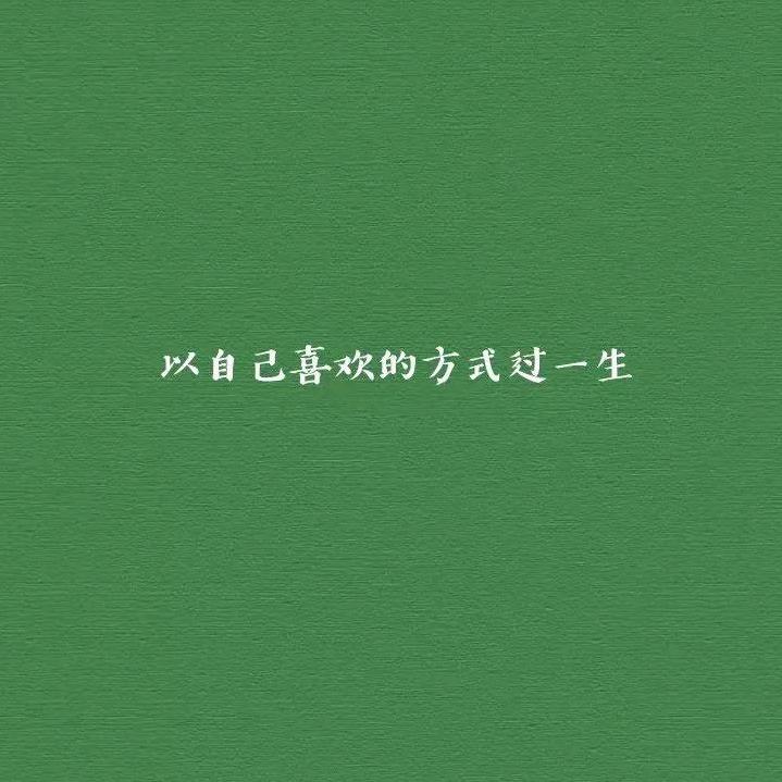 宝北北