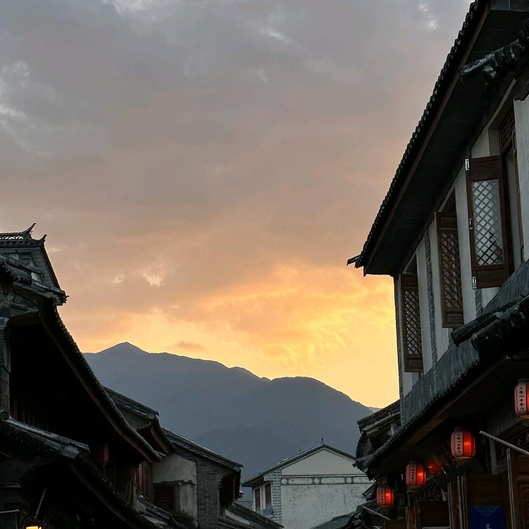 粤金泰数码