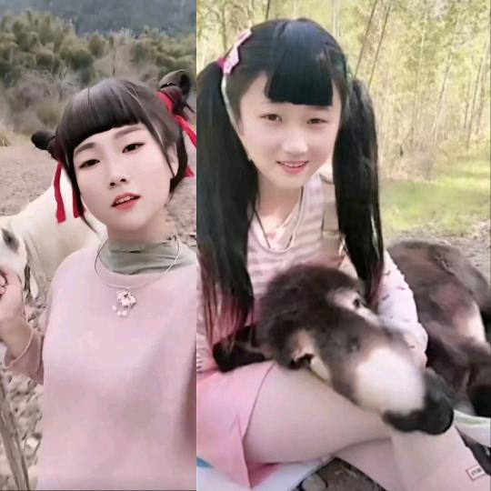 仙女也吃米