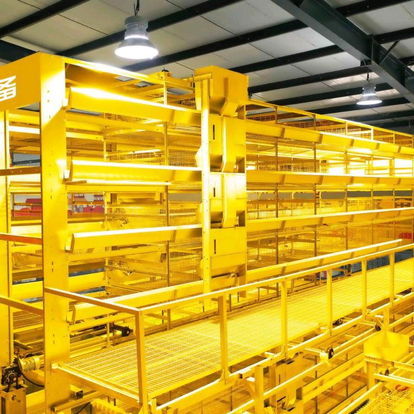 鸡笼 鸭笼 家禽养殖设备