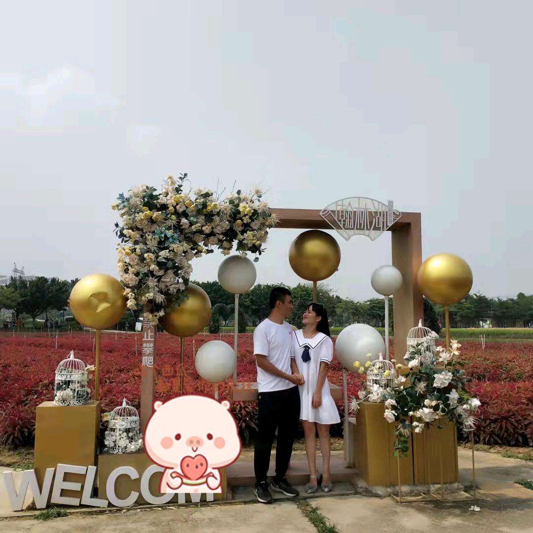 🌈🐯诺一❤️🐯