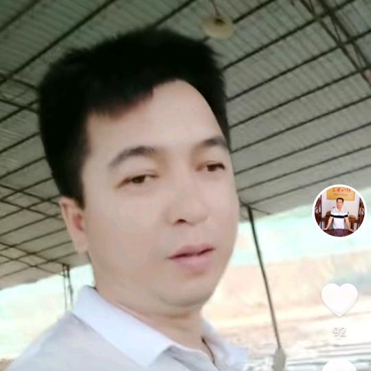 🐝成功率