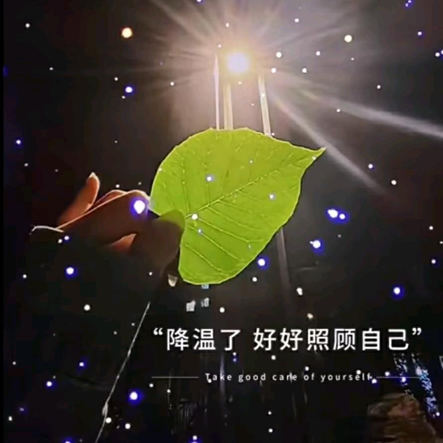 🌈手可摘❤️陈