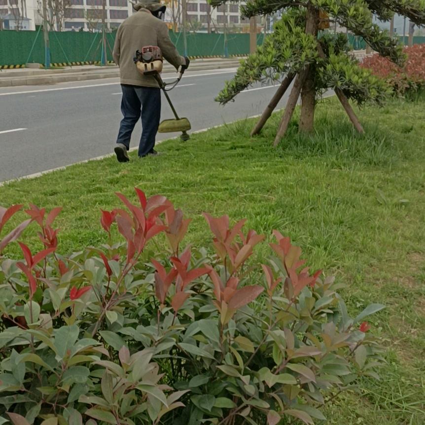忙禄
