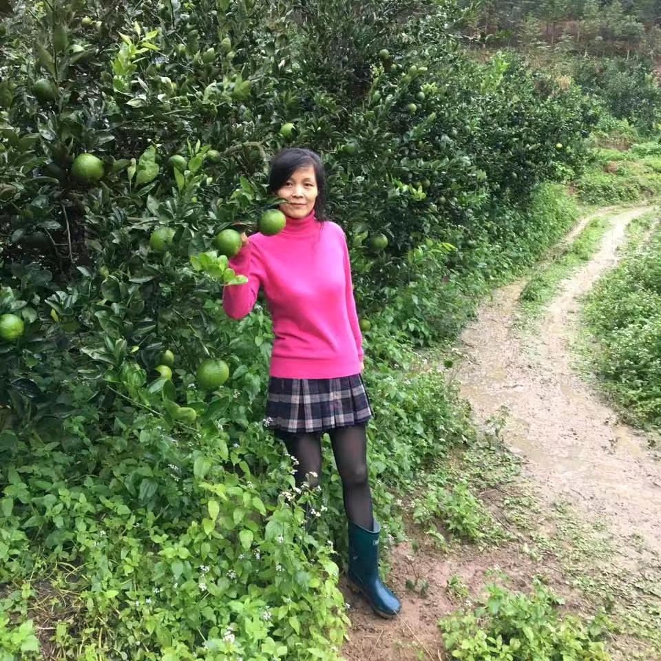 半月坪橱窗带货（开播号主页进入