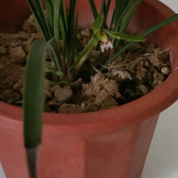 用户1470344137709果果