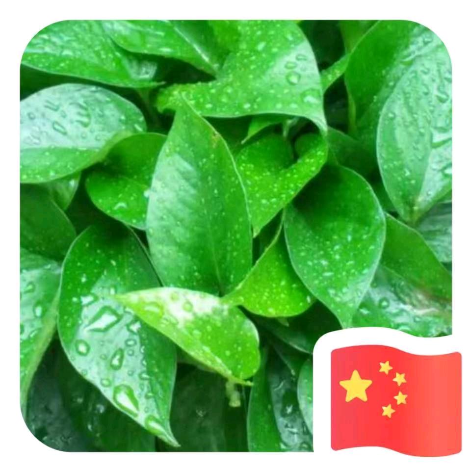 用户4291047782986
