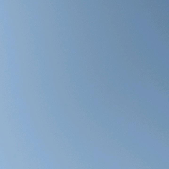 我就是我。