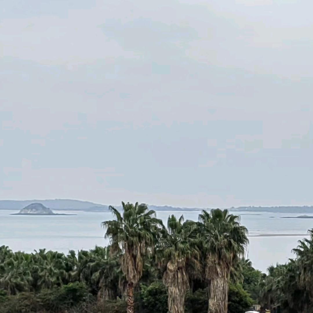 珍惜感情